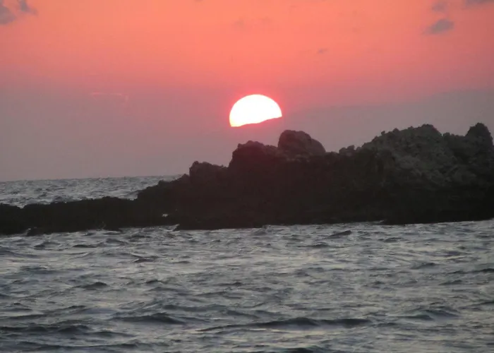 Anastazia פורוס