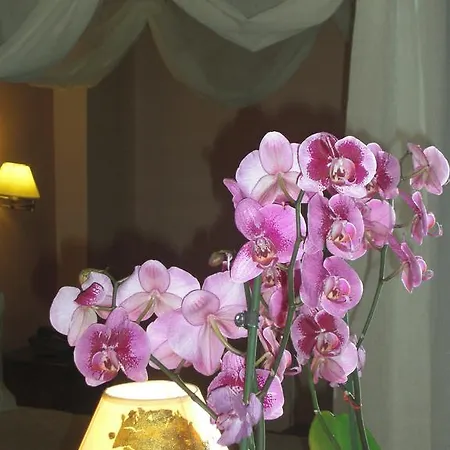 Hotel Anastazia